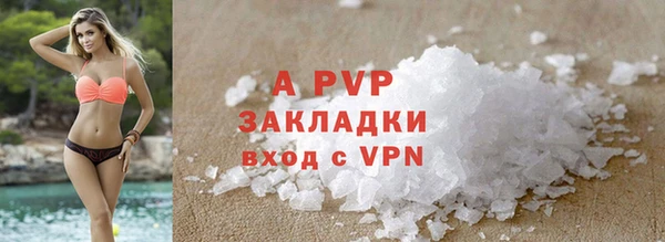 стафф Вяземский