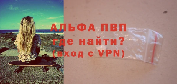 стафф Вяземский