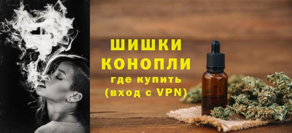 стафф Вяземский