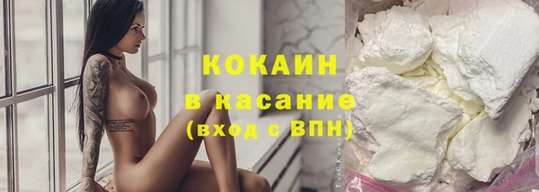 стафф Вяземский