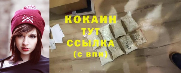 стафф Вяземский