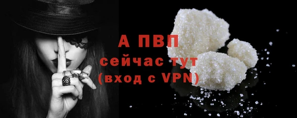 стафф Вяземский