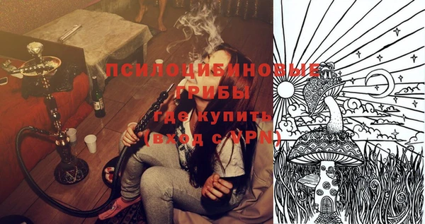 стафф Вяземский