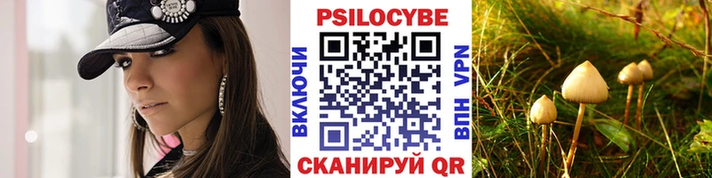 Галлюциногенные грибы Psilocybe кракен ССЫЛКА Чита
